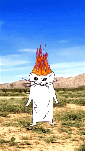 a cartoon drawing of a cat with fire coming out of its head