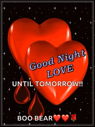 a good night love until tomorrow boo bear