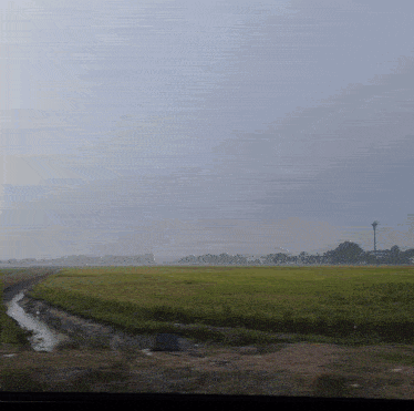 a field with a tower in the distance