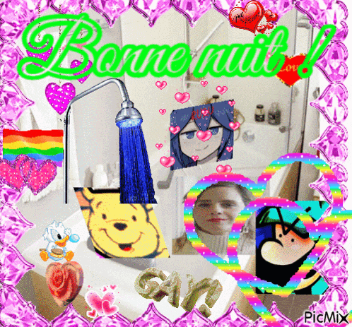 a picture of a bathroom with the words bonne nuit on the top