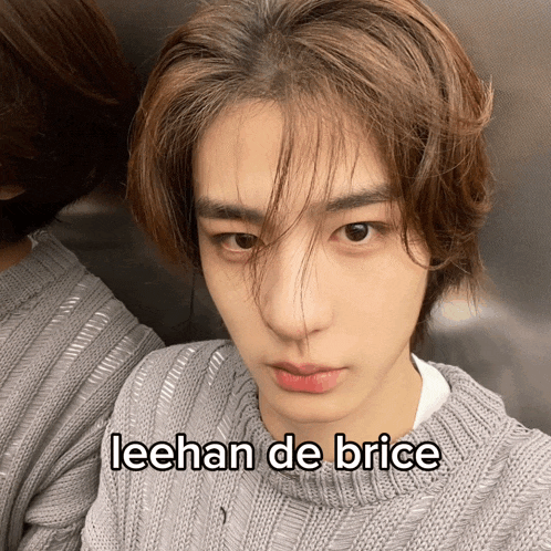 a close up of a person 's face with the words leehan de brice on the bottom