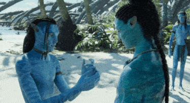 a man and a woman are standing on a beach holding hands