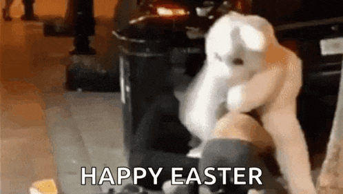 a man in a bunny costume is kneeling down on the ground .