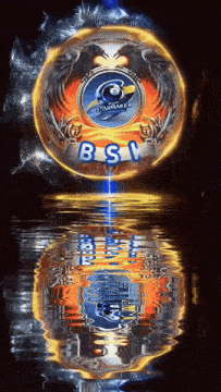 a logo for bsl is reflected in the water