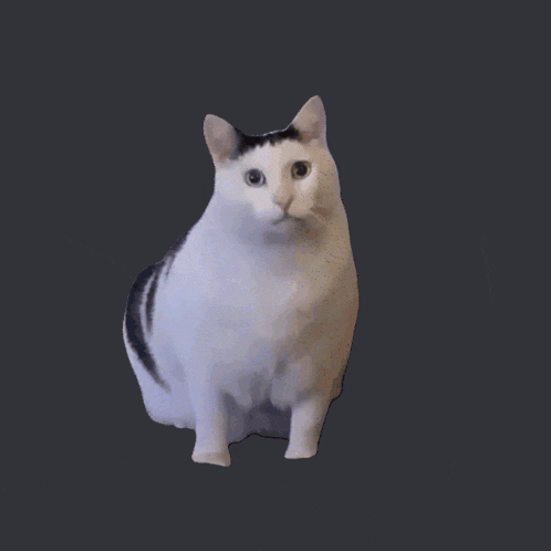 a white cat with a black stripe on the back of its neck