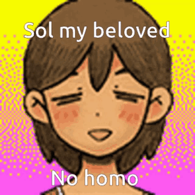 a cartoon of a girl with the words sol my beloved no homo written on it