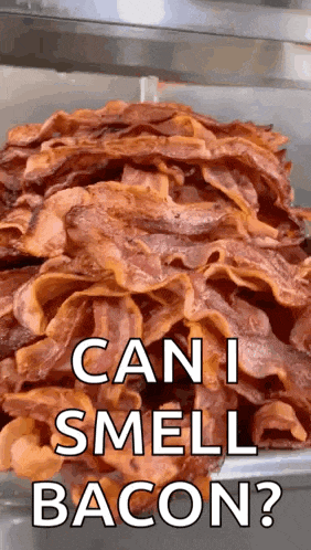 a pile of bacon with the words can i smell bacon written on it