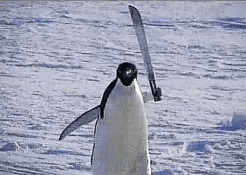 a penguin is standing in the snow holding a sword in its hand .
