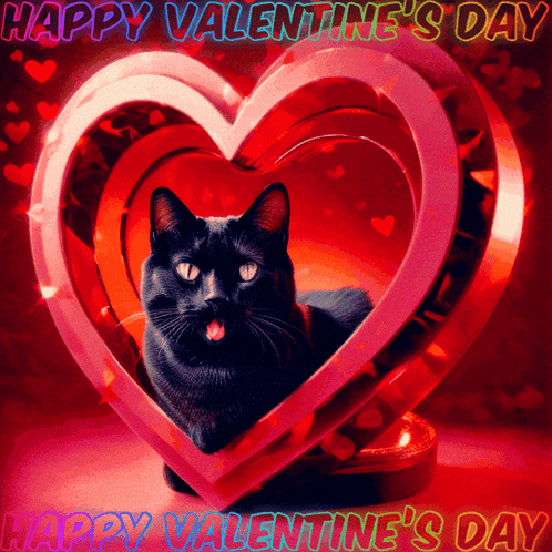 a black cat is laying inside of a heart shaped box with the words happy valentine 's day