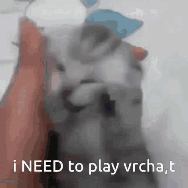 a person holding a cat with the words i need to play vrcha.t