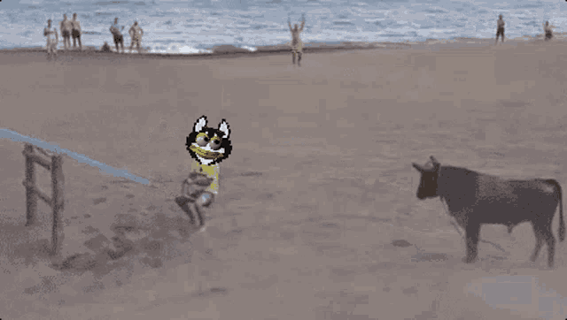 a pixel art of two huskies playing on a seesaw on a beach