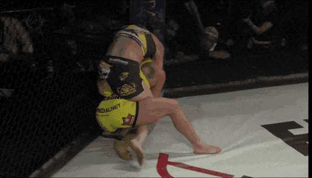 two women wrestling in a ring with one wearing a short that says regalnet