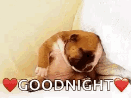 a bulldog is sleeping on a bed with the words `` goodnight '' written on it .