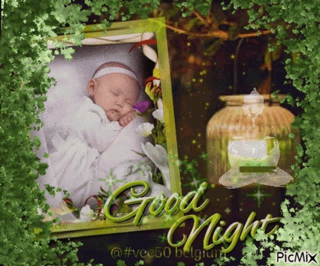 a picture of a baby sleeping with the words good night written on it