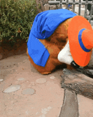 a teddy bear wearing a blue cape and an orange hat