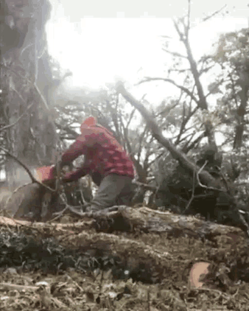 Lumberjack Tree GIF - Lumberjack Tree Chainsaw GIFs