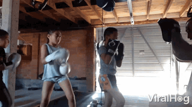 Boxing Punching GIF - Boxing Punching Training GIFs