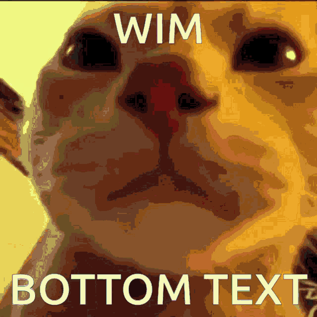 Wim Bottom Text GIF - Wim Bottom Text Wim Bottom Text GIFs