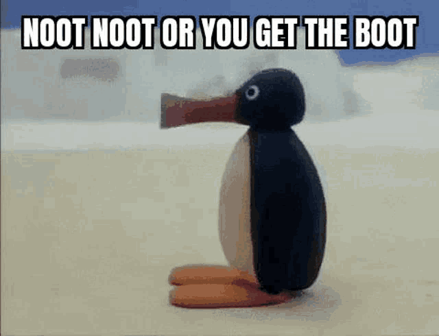 a cartoon penguin is standing on a beach with the words noot noot or you get the boot .