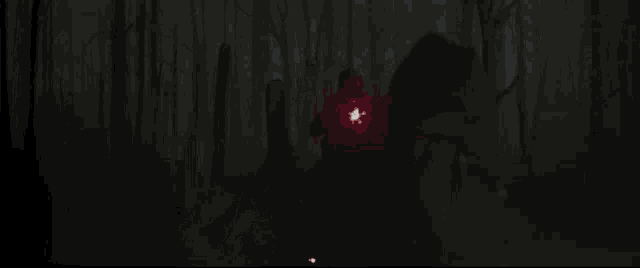 a person is holding a light saber in the dark .
