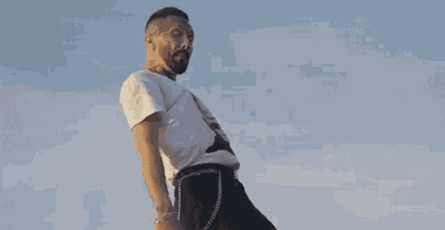 a man with a beard is standing in front of a blue sky .
