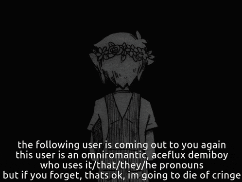 the following user is coming out to you again this user is an omniromantic aceflux demiboy who uses it that they he pronouns