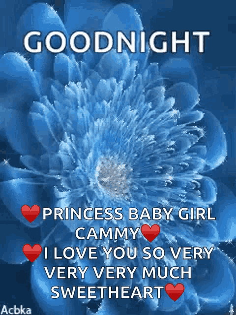 a blue flower with the words goodnight princess baby girl cammy i love you so very very much sweetheart on it