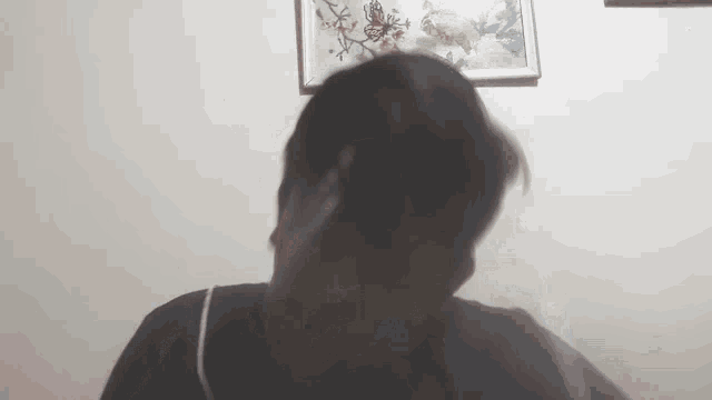 a person 's head is visible in front of a framed picture on a wall .