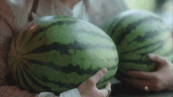 Hoya Devilish Joy GIF - Hoya Devilish Joy Watermelons GIFs