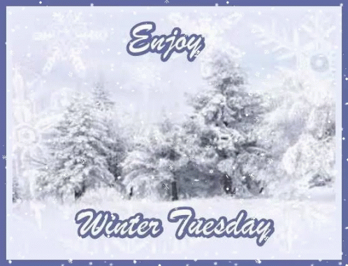 Tuesday Winter Tuesday GIF - Tuesday Winter Tuesday GIFs