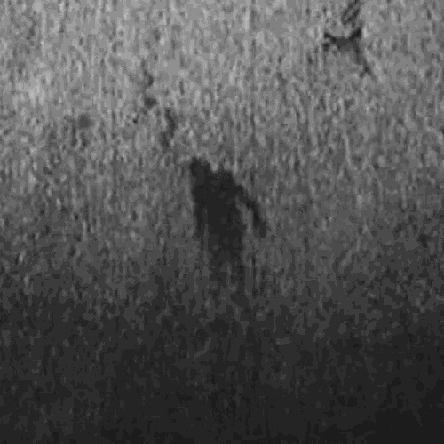 a black and white photo of a person standing in a field with a bird flying in the background .