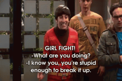 Girl Fight! GIF - Girl Fight Bbt Big Bang Theory GIFs