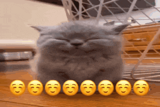 a gray cat is sitting next to a row of yellow smiley faces on a wooden floor .