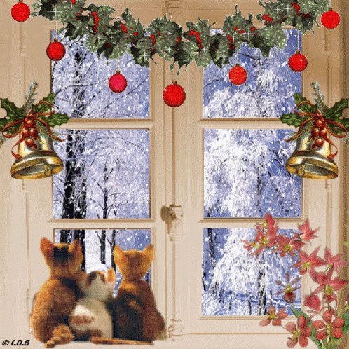 Winter Wonderland Cats GIF - Winter Wonderland Cats Snow GIFs