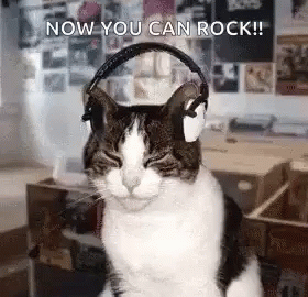 Cat Headphones GIF - Cat Headphones Jamming GIFs