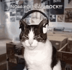 a cat wearing headphones with the words `` now you can rock '' written on it .