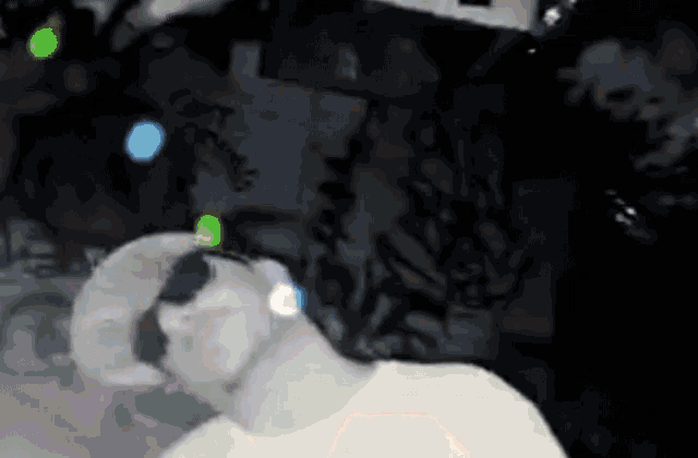 a man wearing sunglasses and a hat is laying down