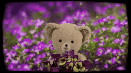 Snuggle Bear Flowers For You GIF - Snuggle Bear Flowers For You Surprise GIFs
