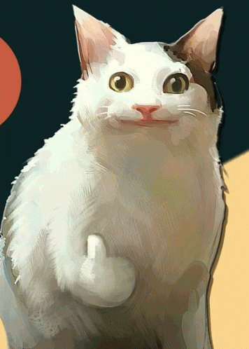 Gato GIF - Gato GIFs