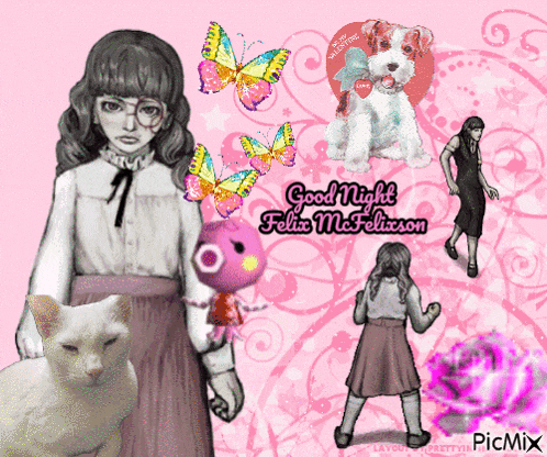 a picture of a girl with a cat and the words good night felix mc felixson on the bottom