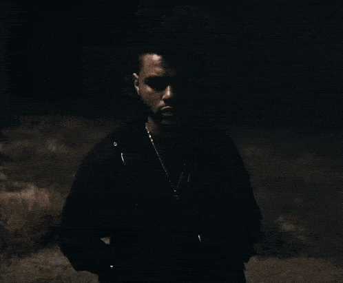 a man in a black coat stands in a dark field