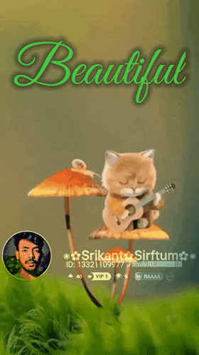 a picture of a cat playing a guitar under an umbrella with the words beautiful above it