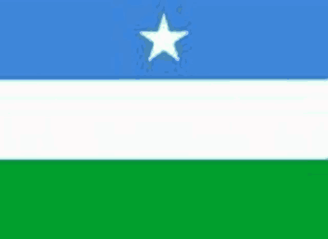 the flag of somalia has a white star on it .