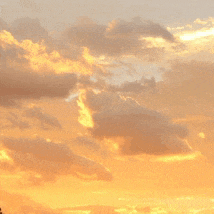 a sunset with a lot of clouds and a few trees in the foreground