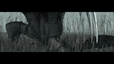 a person standing in a field of tall grass