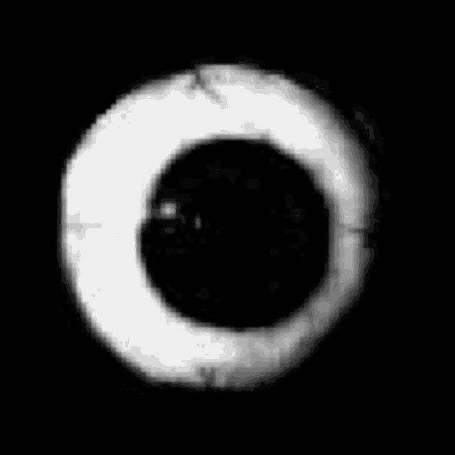 a black and white image of a circle with a circle in the middle .