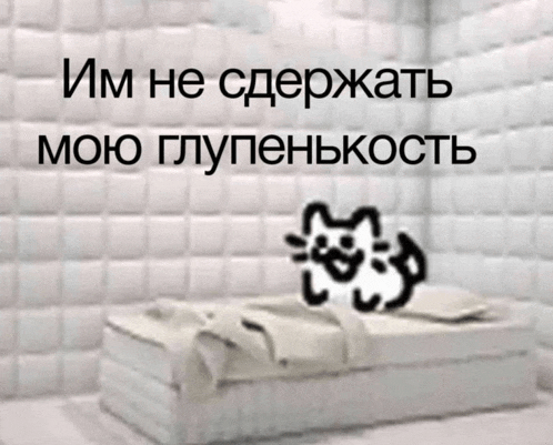 a picture of a bed with a cat on it in a room with a foreign language written on it