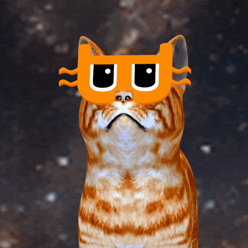 a cat wearing an orange mask with the letter u and u on it
