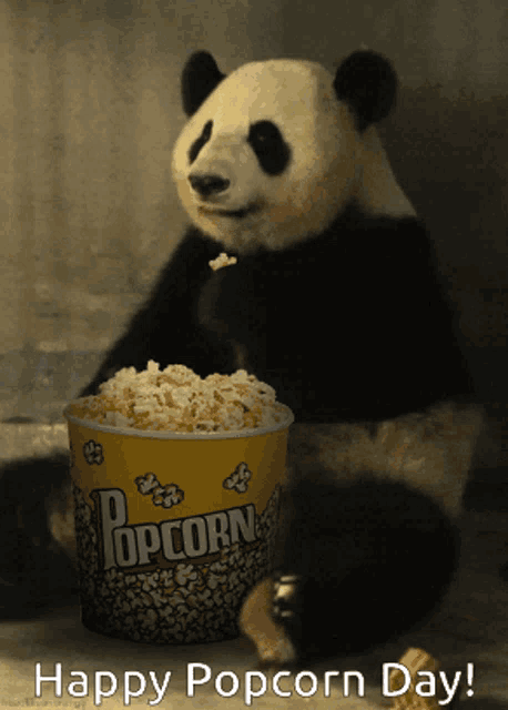 a panda bear sits next to a bucket of popcorn