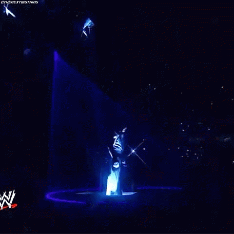 Shawn Michaels The Undertaker GIF - Shawn Michaels The Undertaker Wwe GIFs